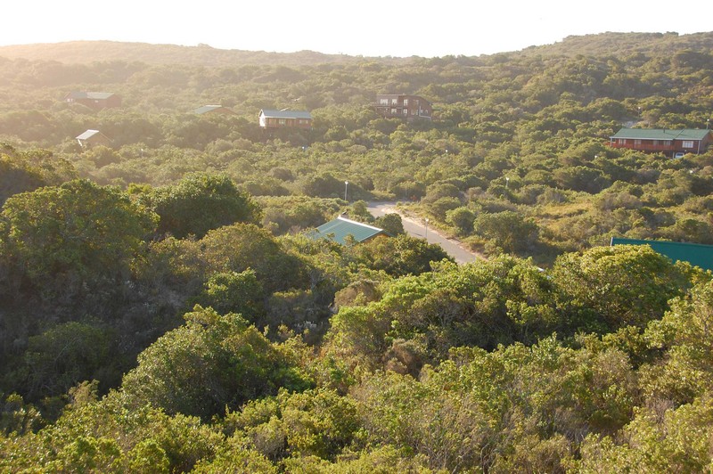 Land,For Sale,1015
