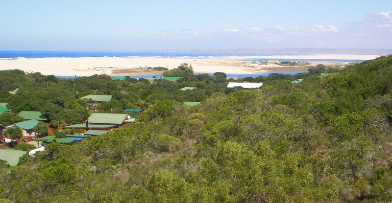Land,For Sale,1017