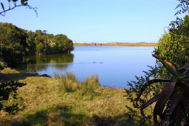 Land,For Sale,1017