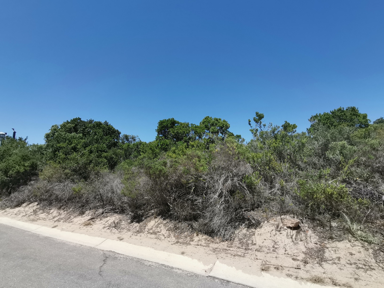 Land,For Sale,1033