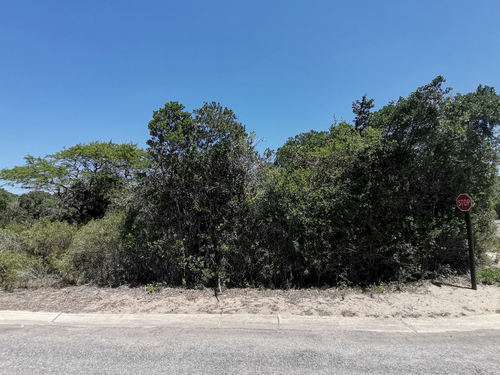 Land,For Sale,1033